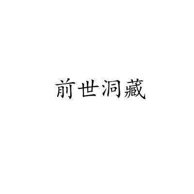 前世洞藏