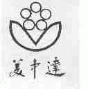 美中达