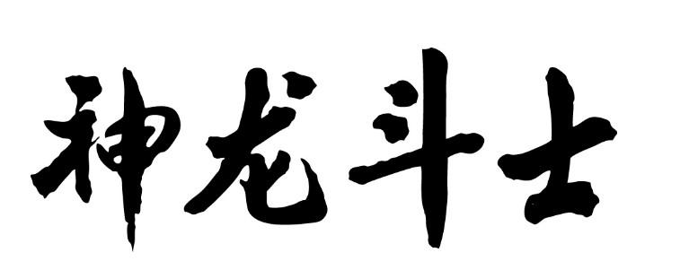 神龙斗士