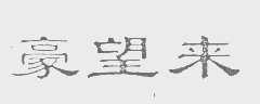 豪望来