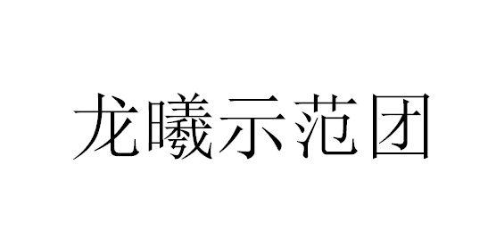 龙曦示范团