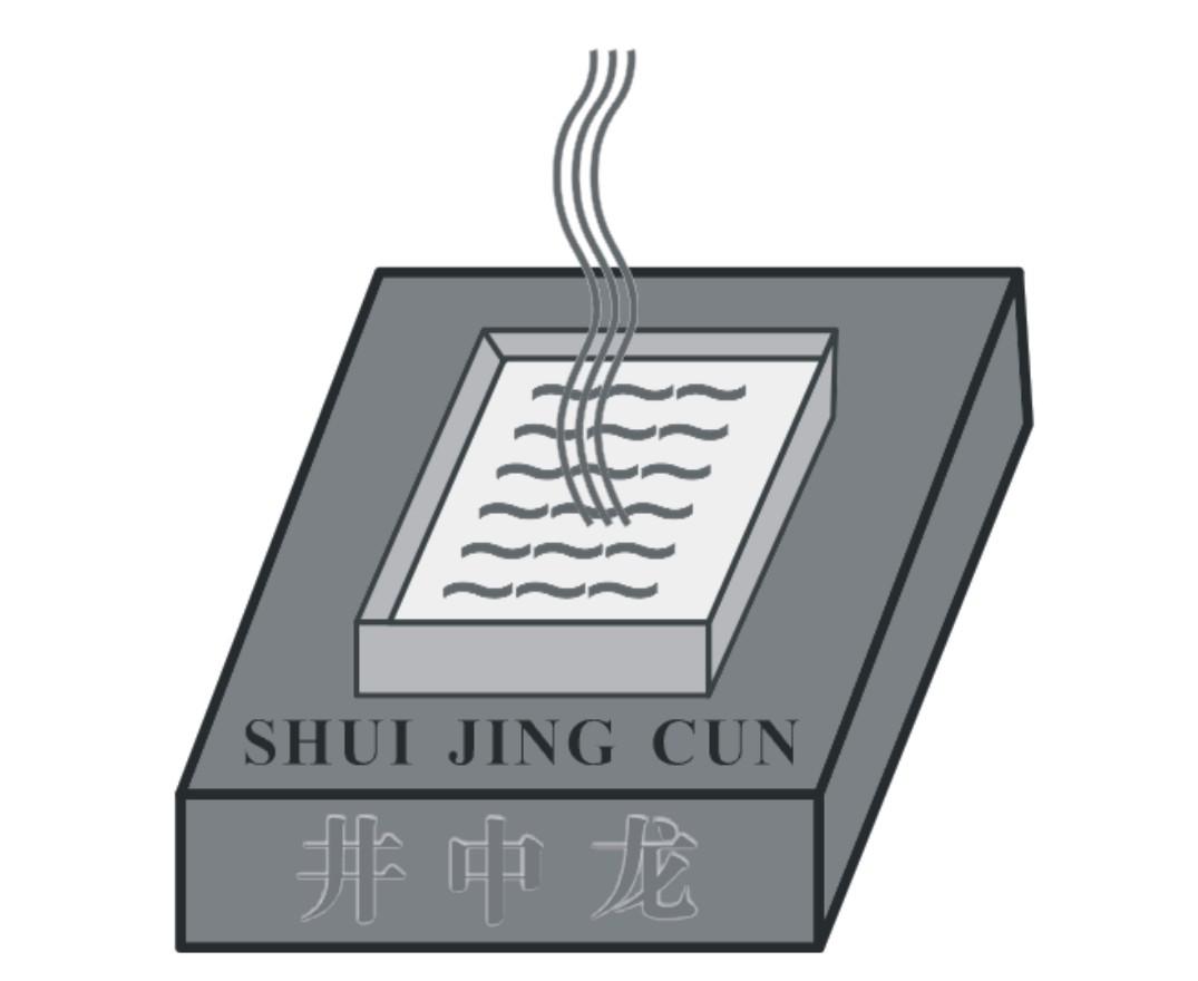 井中龙 SHUI JING CUN