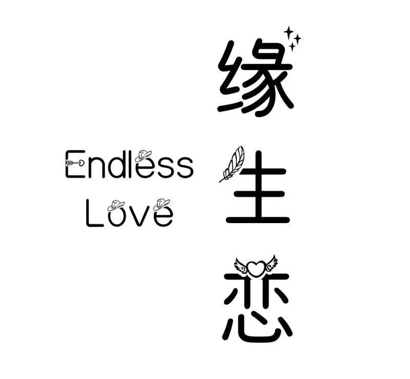 缘生恋 ENDLESS LOVE