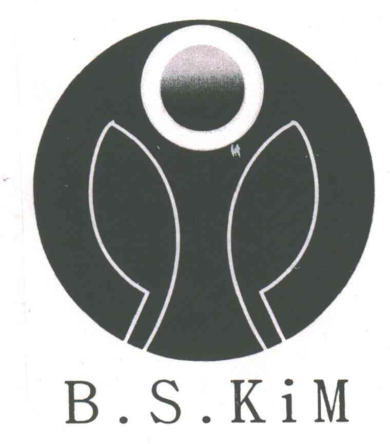 B.S.KIM及图形