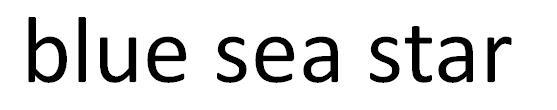 BLUE SEA STAR