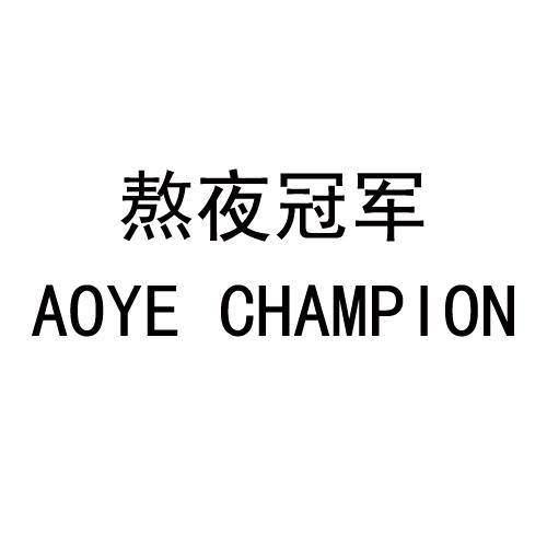 熬夜冠军 AOYE CHAMPION