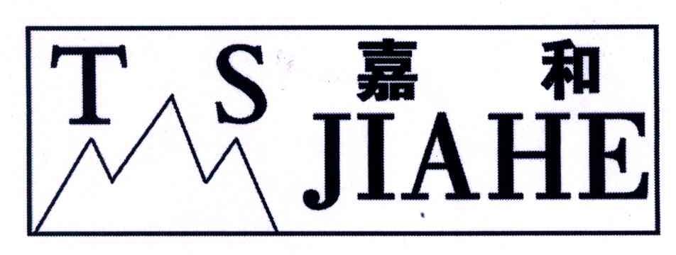 嘉和;TS