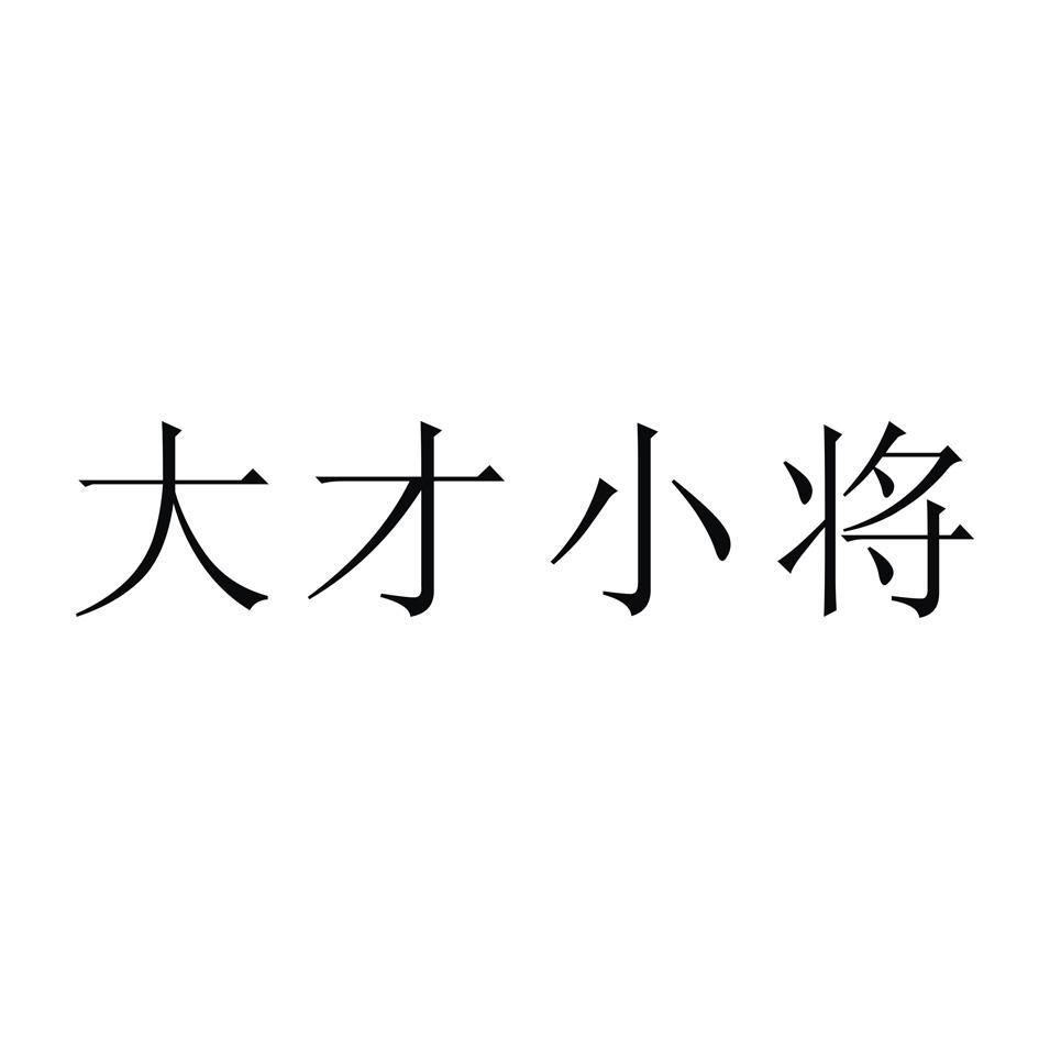大才小将