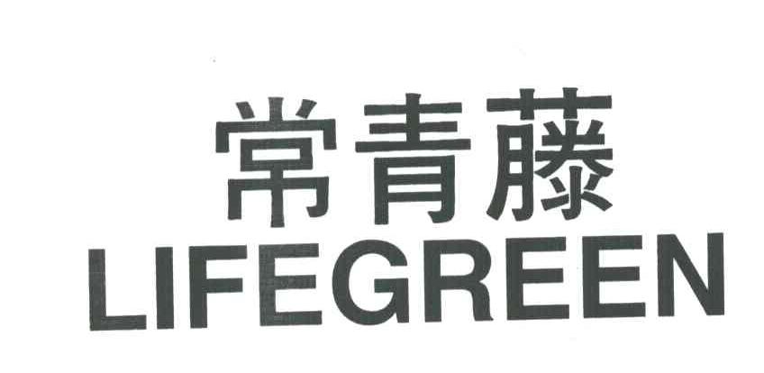 常青藤
