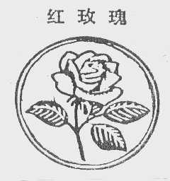 红玫瑰