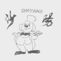 沙阳