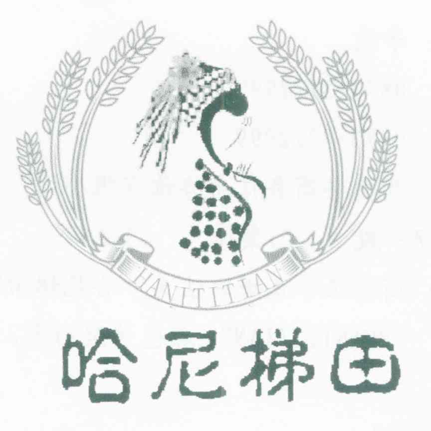 哈尼梯田