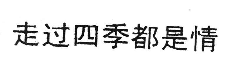 走过四季都是情