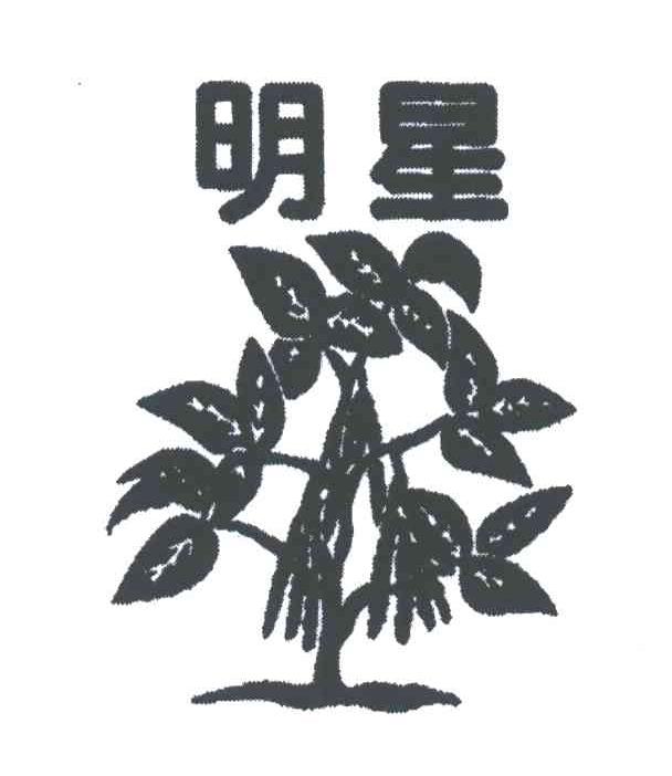 明星