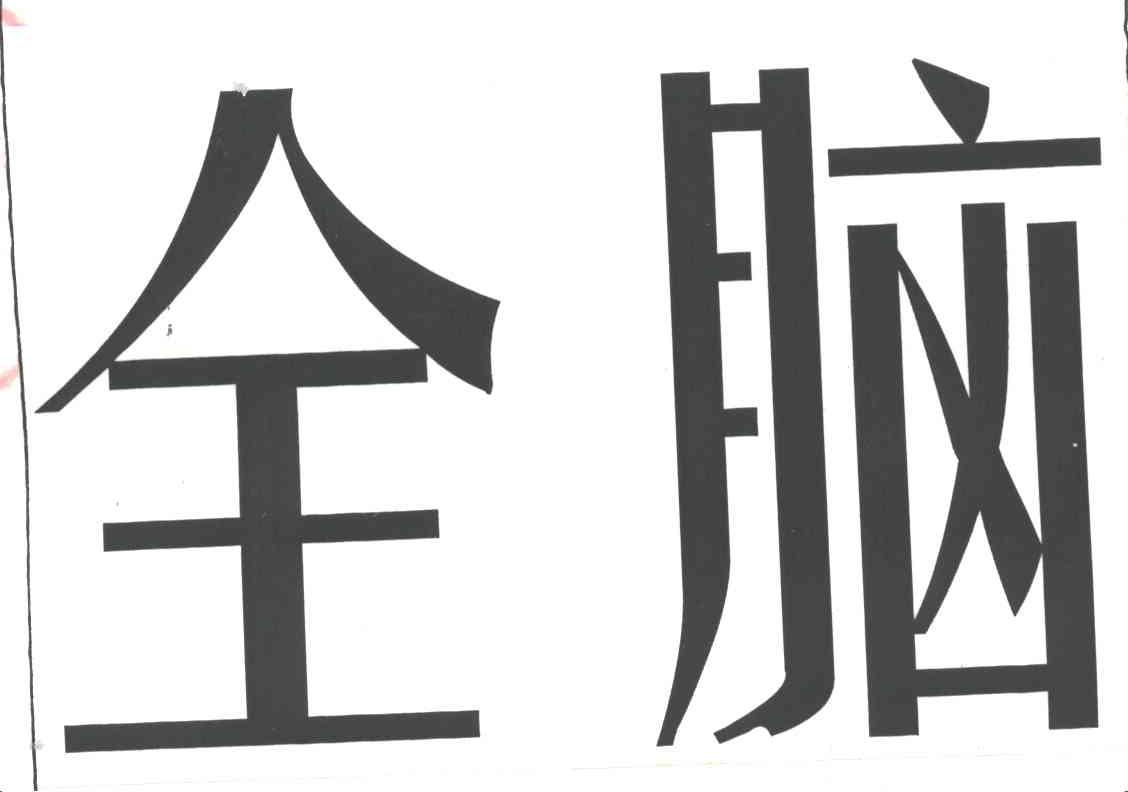 全脑