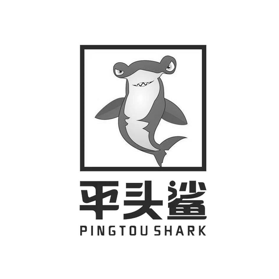 平头鲨  PINGTOU SHARK