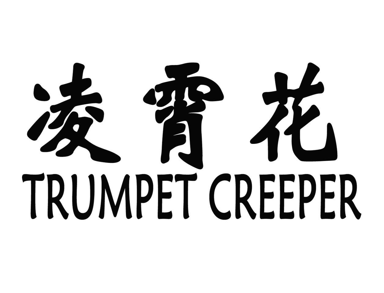 凌霄花 TRUMPET CREEPER