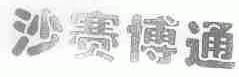 沙赛博通