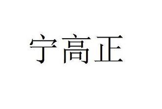宁高正