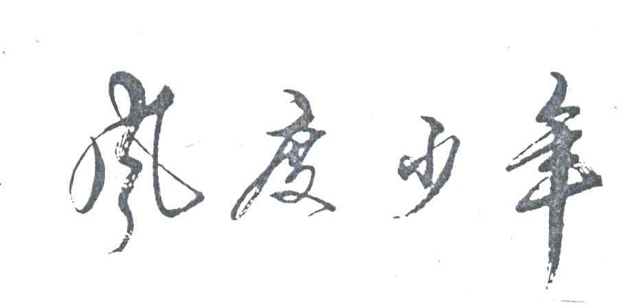 风度少年