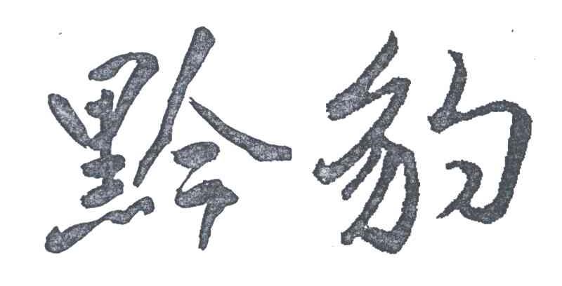 黔豹