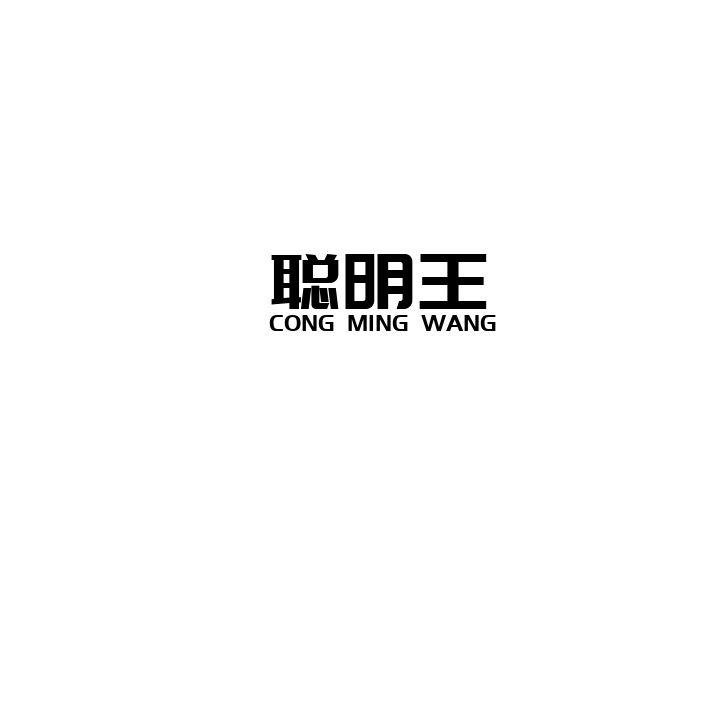 聪明王