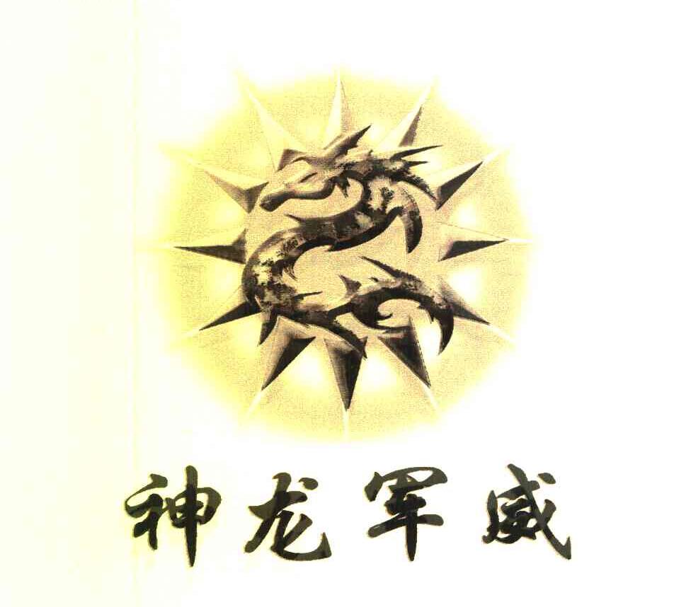 神龙军威