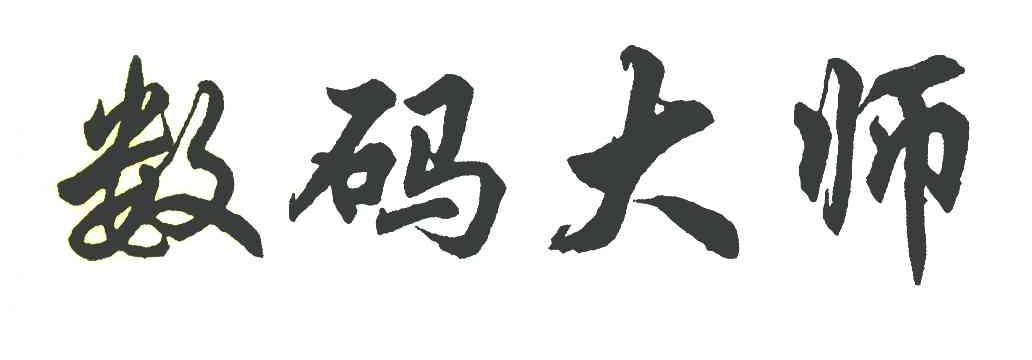 数码大师