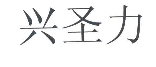 兴圣力