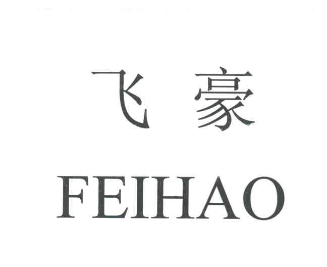飞豪