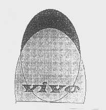 YIYO