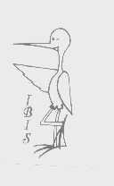 IBIS