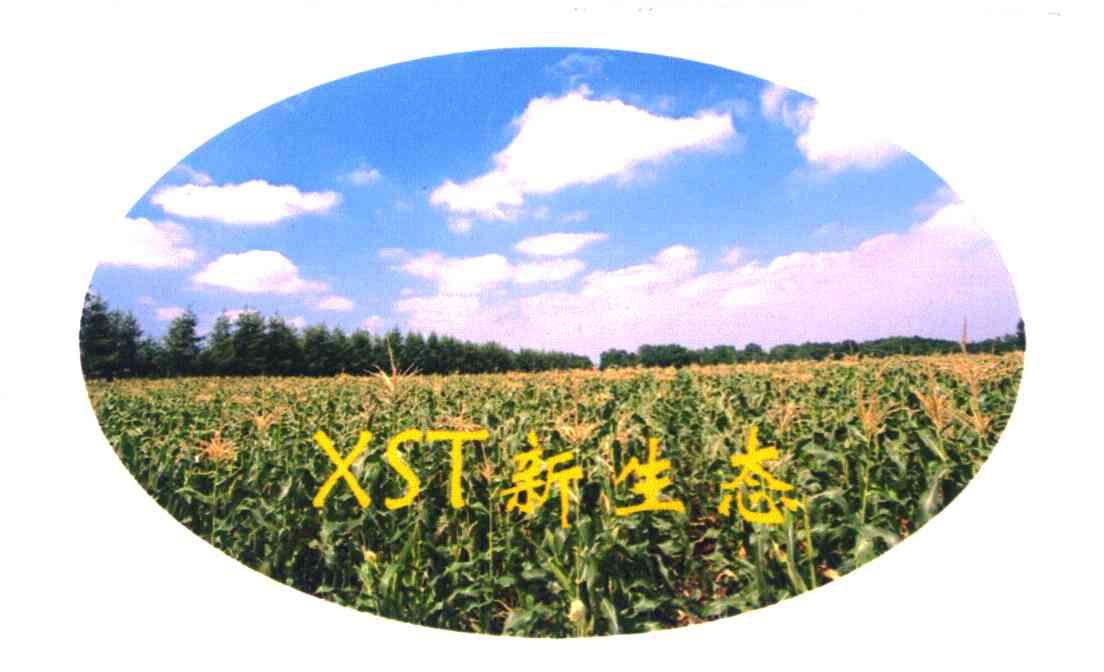 新生态 XST