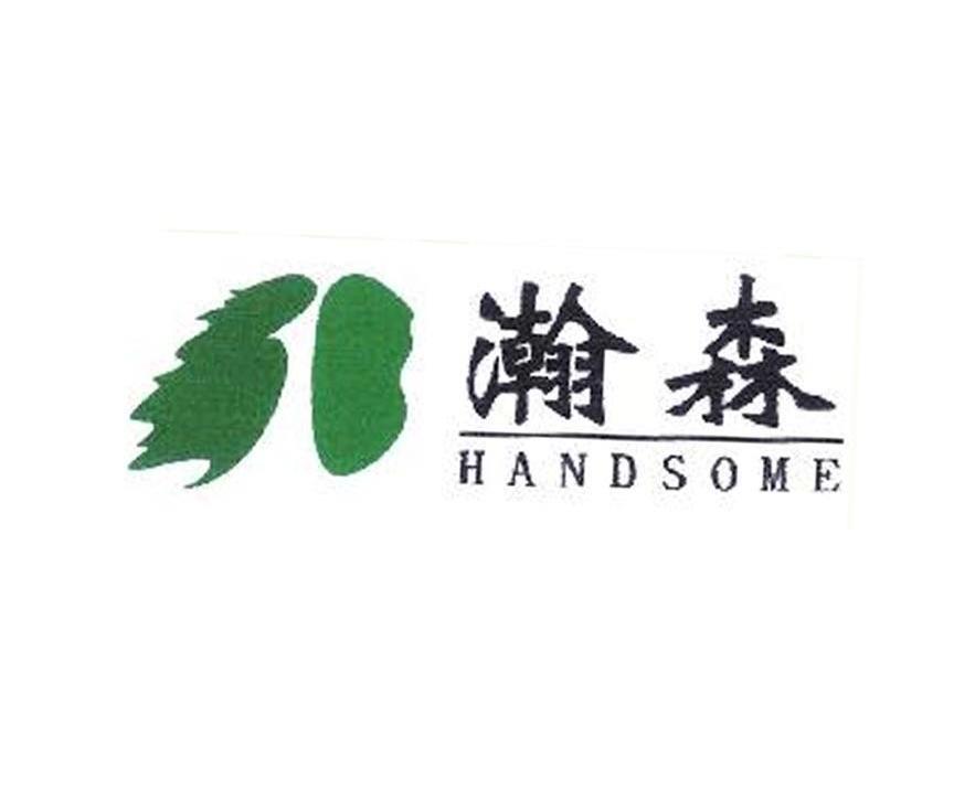 瀚森 HANDSOME