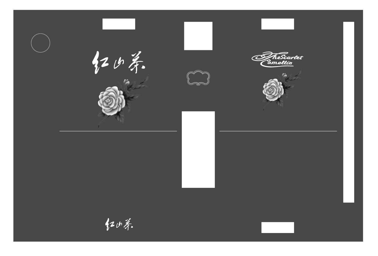 红山茶 THE SCARLET CAMELLIA