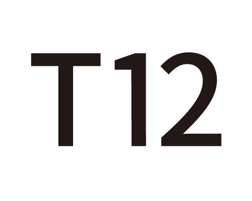 T12