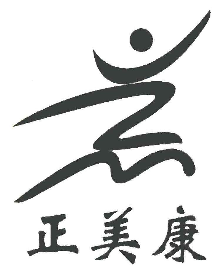 正美康 ZM
