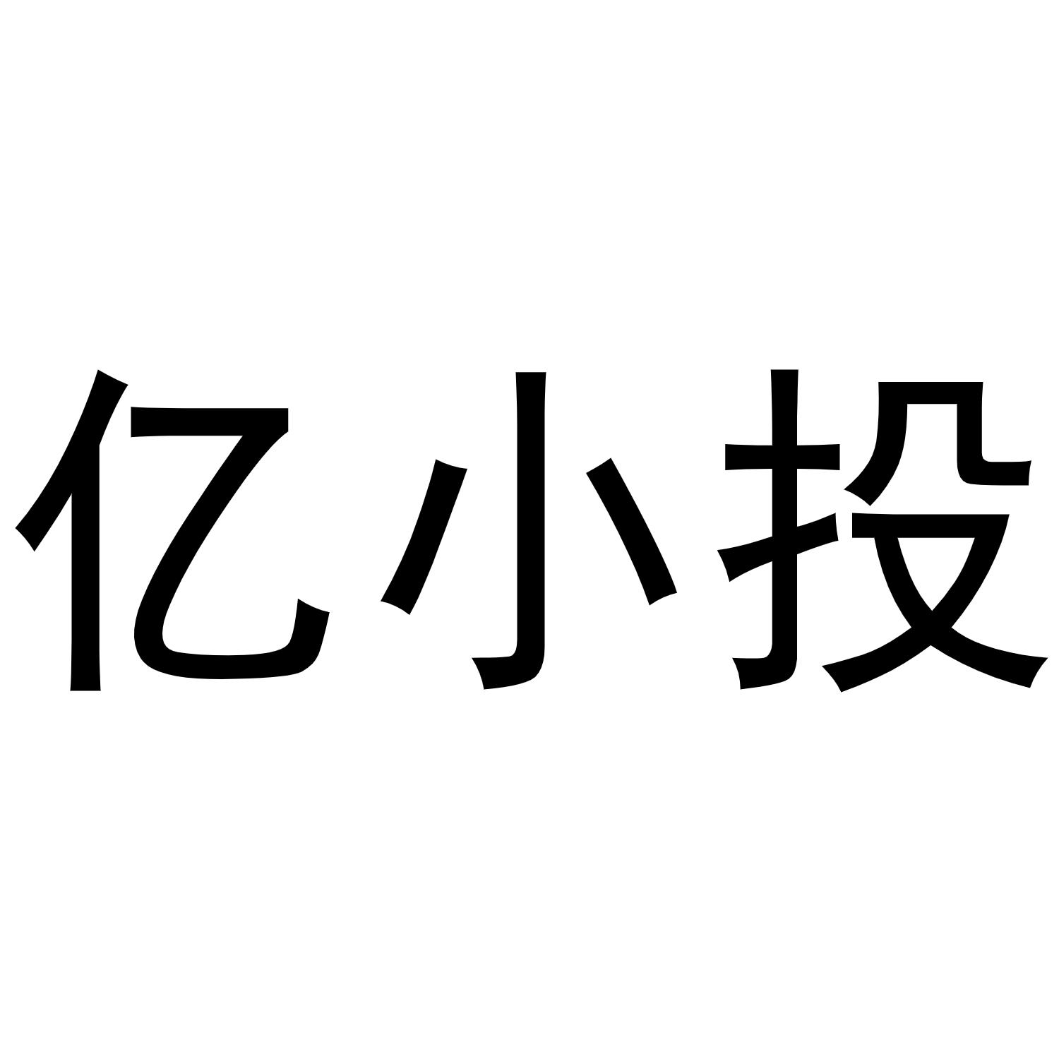 亿小投