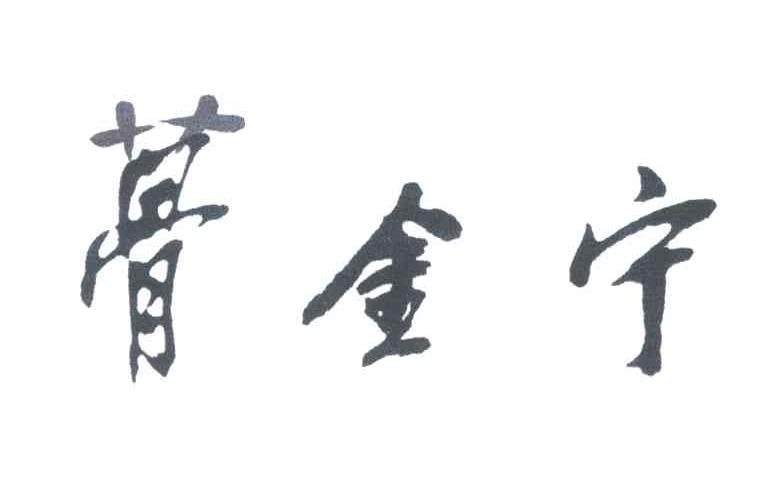 蓇金宁