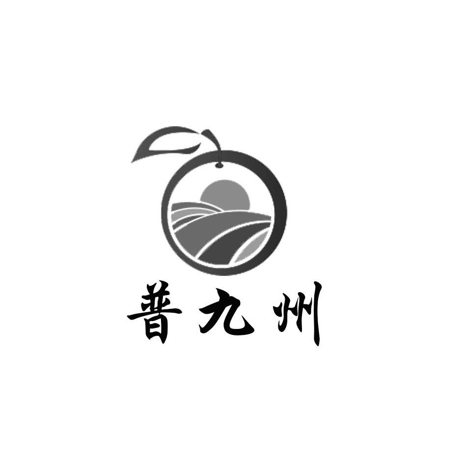 普九州