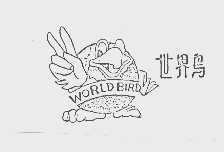 世界鸟   WORLD BIRD