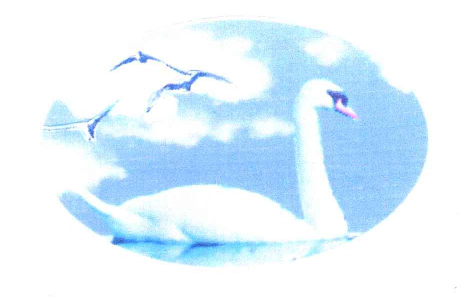 图形