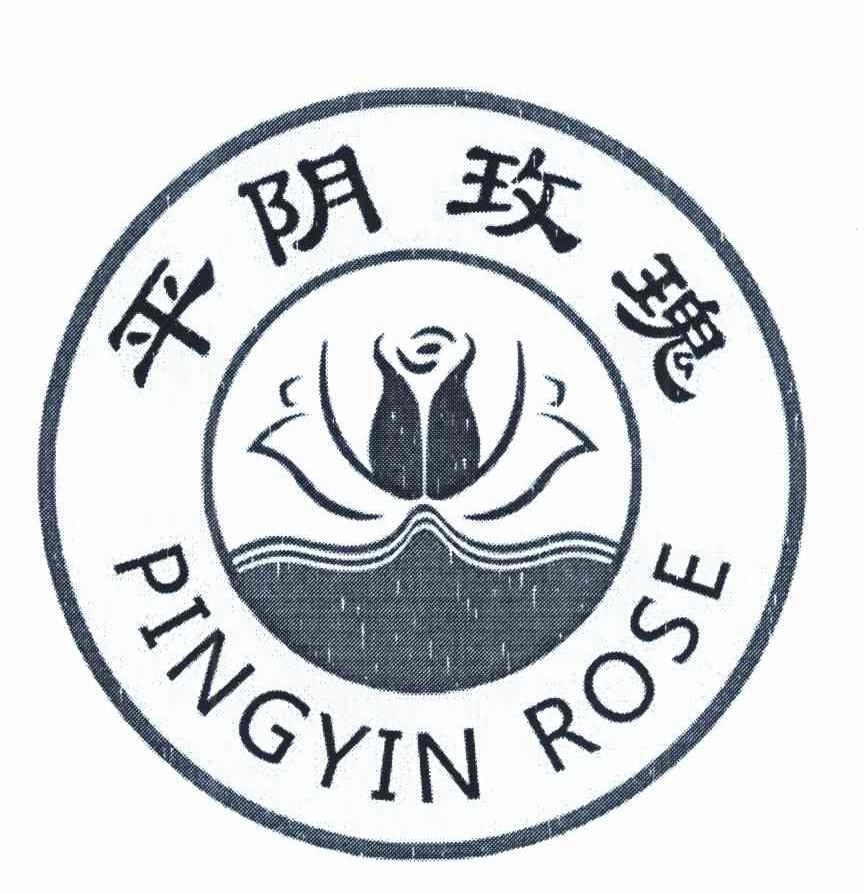 平阴玫瑰 PINGYIN ROSE