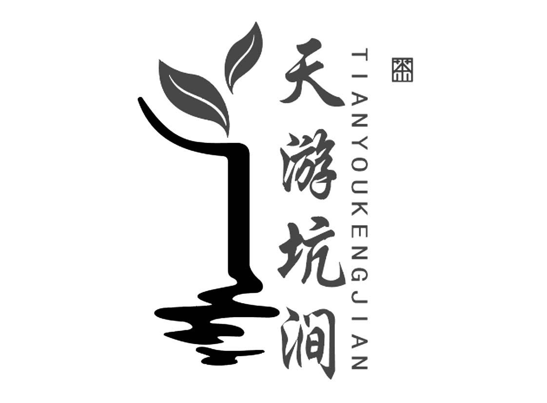 天游坑涧 茶