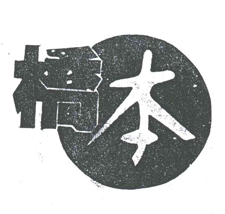 桥本