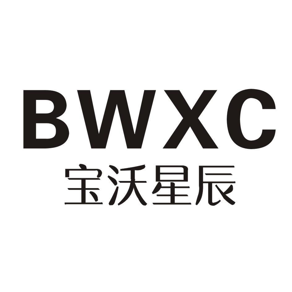 宝沃星辰 BWXC