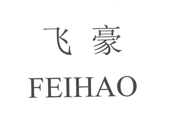 飞豪