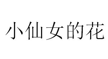 小仙女的花