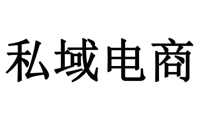 私域电商