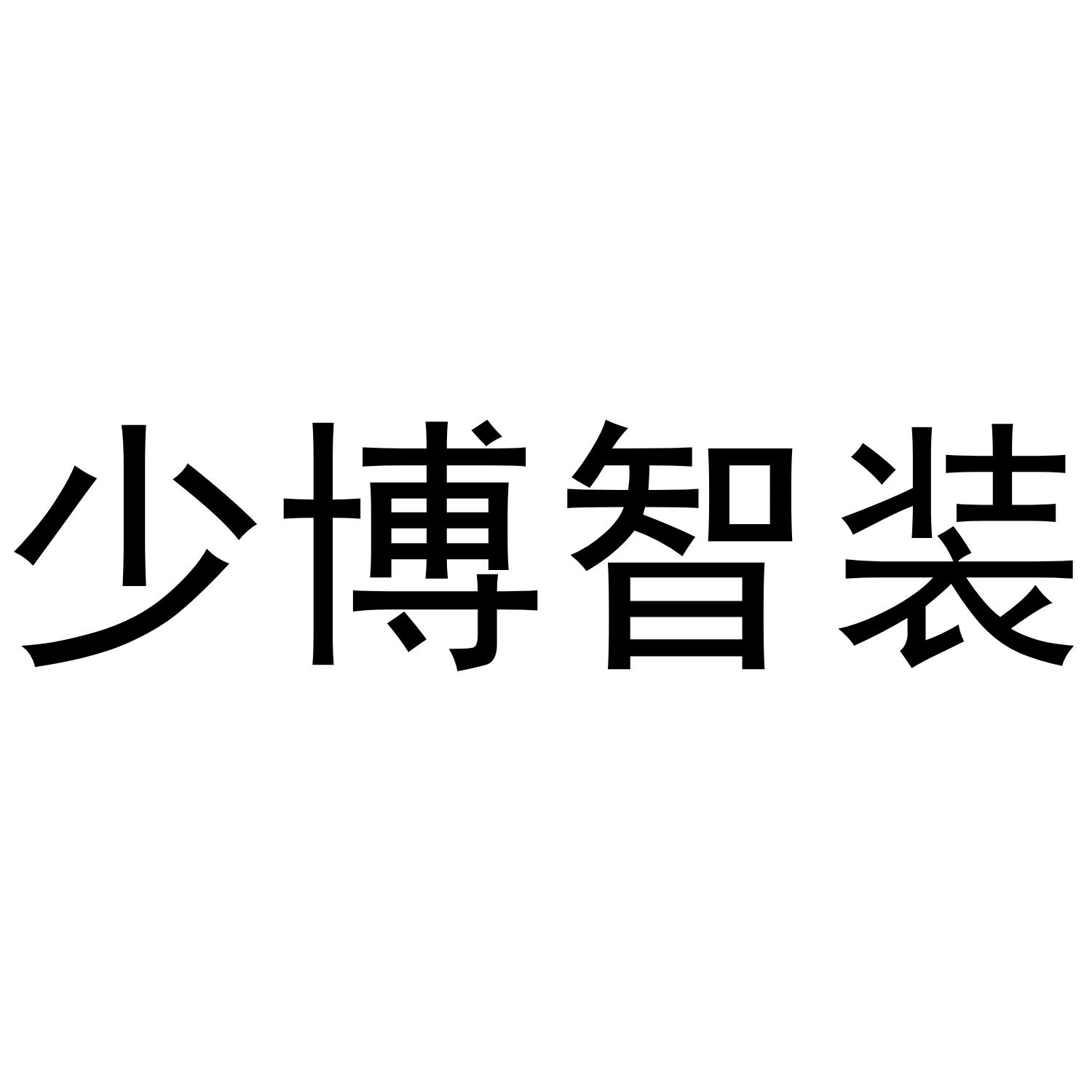 少博智装